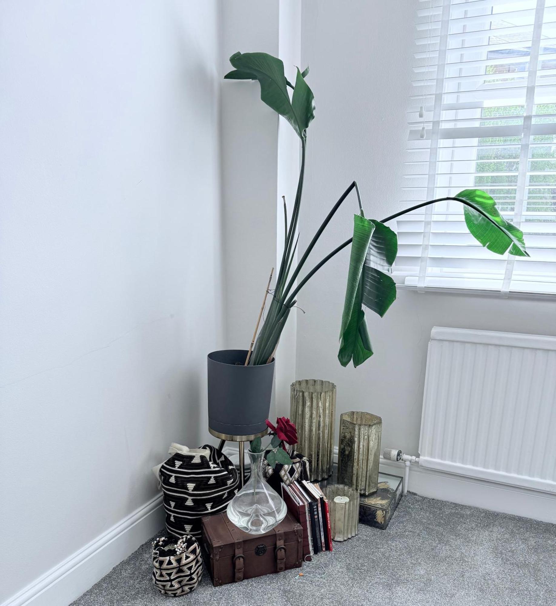 Bright And Modern Flat Near Portobello Road And The Canal London Kültér fotó